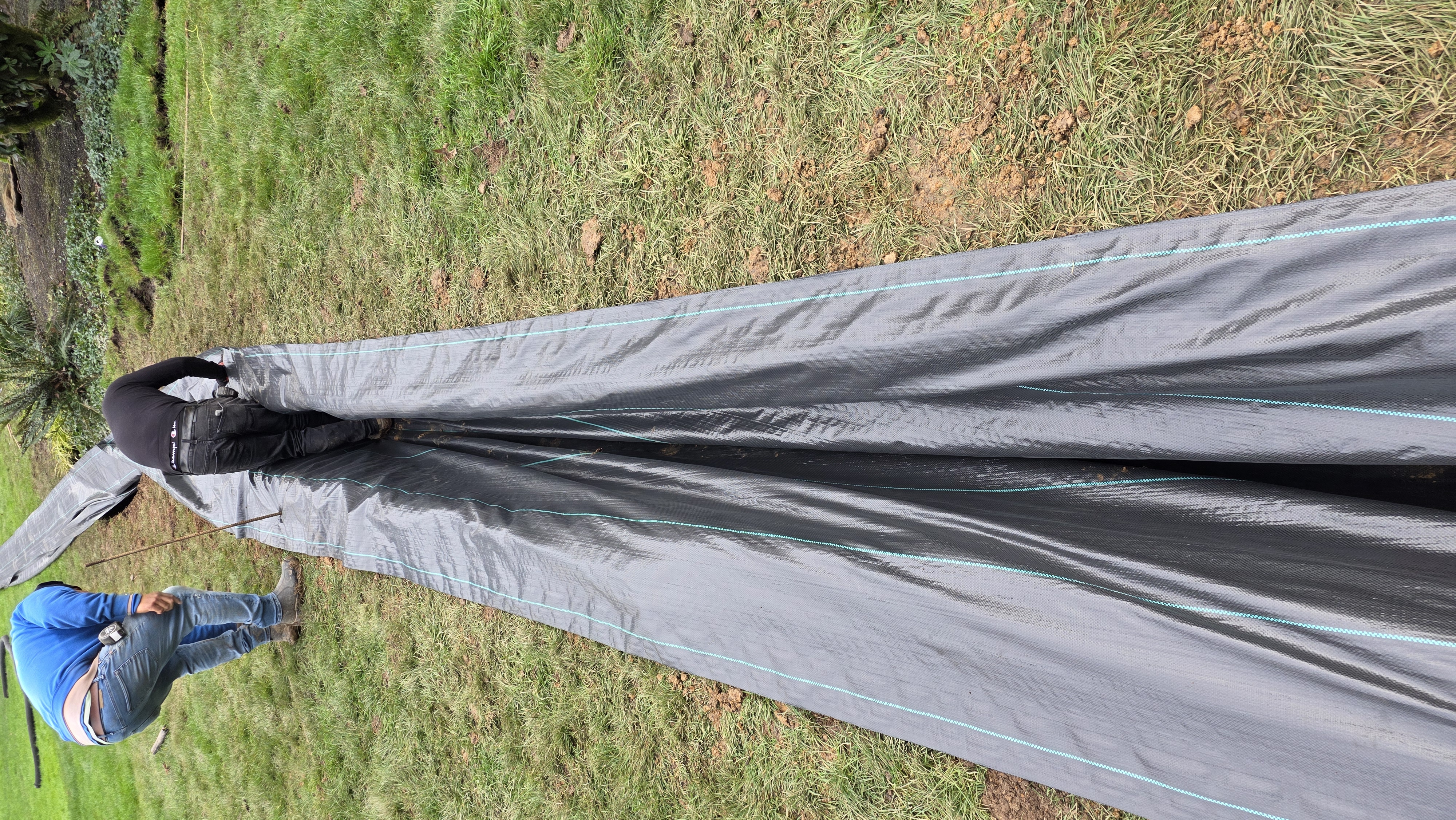 French Drain